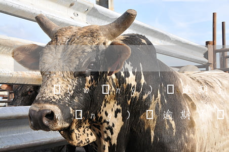 網(wǎng)貸逾期了不還會怎么辦(網(wǎng)貸逾期不還有什么后果)