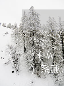 網(wǎng)貸逾期了也不聯(lián)系我(網(wǎng)貸逾期暫時(shí)還不上電話接不接好)