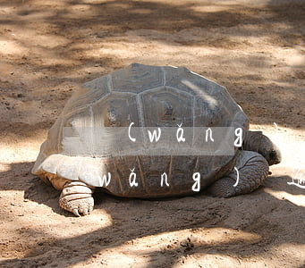 網(wǎng)貸逾期了人家說要報警(網(wǎng)貸逾期報案,公安會立案嗎)