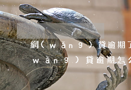 網(wǎng)貸逾期了你們怎么辦理(網(wǎng)貸逾期怎么解決)