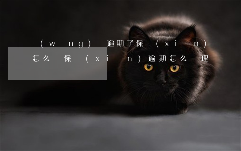 網(wǎng)貸逾期了保險(xiǎn)怎么辦(保險(xiǎn)逾期怎么處理)