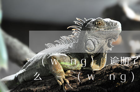 網(wǎng)貸逾期了信用卡沒有逾期怎么辦-網(wǎng)貸逾期了信用卡沒有逾期怎么辦呢