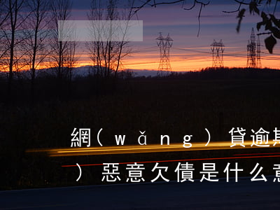 網(wǎng)貸逾期了催收說(shuō)惡意欠債是什么意思-網(wǎng)貸逾期了催收說(shuō)惡意欠債是什么意思啊
