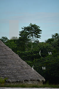 網(wǎng)貸逾期了兩天后申請不了網(wǎng)貸了-網(wǎng)貸逾期了兩天后申請不了網(wǎng)貸了怎么辦