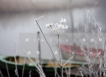 網(wǎng)貸逾期了其他銀行卡會被扣錢嗎-網(wǎng)貸逾期了其他銀行卡會被扣錢嗎怎么辦