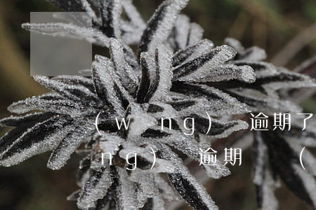 網(wǎng)貸逾期了半年怎么辦(網(wǎng)貸逾期幾個(gè)月了怎么辦)