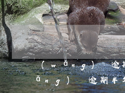 網(wǎng)貸逾期了半年還款嗎(網(wǎng)貸逾期半年還完了有影響嗎?)