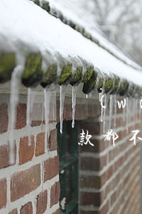 網(wǎng)貸逾期了協(xié)商還款都不聽(tīng)怎么辦-網(wǎng)貸逾期了協(xié)商還款都不聽(tīng)怎么辦呢