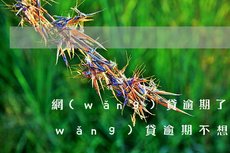 網(wǎng)貸逾期了可以不理我嗎(網(wǎng)貸逾期不想還了)