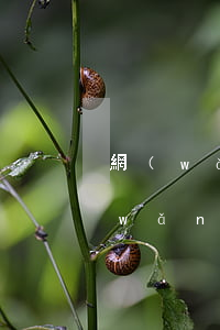 網(wǎng)貸逾期了可以交五險嗎(網(wǎng)貸逾期五天會怎么樣)