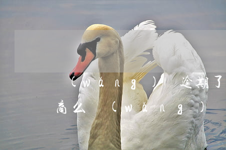 網(wǎng)貸逾期了可以協(xié)商么(網(wǎng)貸逾期可以協(xié)商還款嗎)