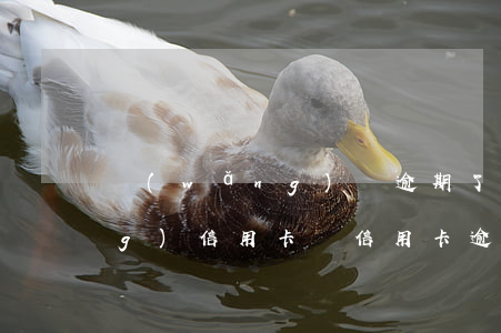 網(wǎng)貸逾期了可以申請(qǐng)信用卡嗎（信用卡逾期還能借網(wǎng)貸麼）