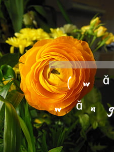 網(wǎng)貸逾期了可以當兵嘛(欠網(wǎng)貸上征信能不能當兵)