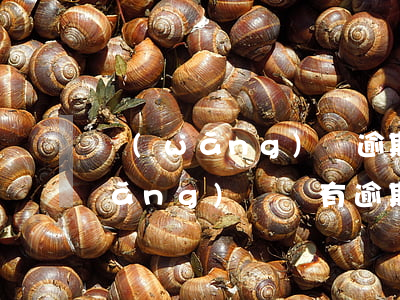 網(wǎng)貸逾期了可以貸款嗎（網(wǎng)貨沒有逾期怎么解決）