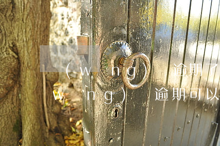 網(wǎng)貸逾期了可以貸車貸嗎(網(wǎng)貸逾期可以貸款買車嗎)