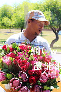 網(wǎng)貸逾期了哪里可以貸款(逾期還能網(wǎng)貸嗎)