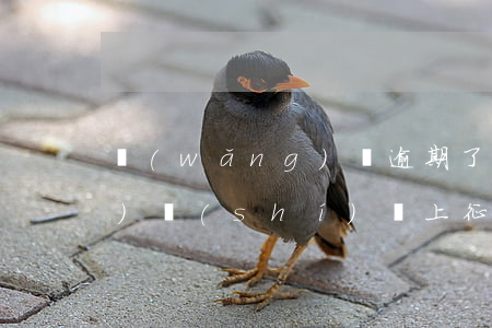 網(wǎng)貸逾期了多長(zhǎng)時(shí)間上征信(網(wǎng)貸逾期了多長(zhǎng)時(shí)間上征信黑名單)