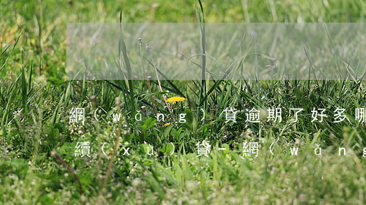 網(wǎng)貸逾期了好多哪里還可以繼續(xù)貸-網(wǎng)貸逾期了好多哪里還可以繼續(xù)貸款