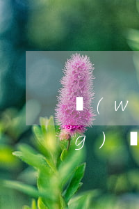 網(wǎng)貸逾期了如何申請(qǐng)復(fù)議(逾期能申請(qǐng)下來(lái)的網(wǎng)貸)