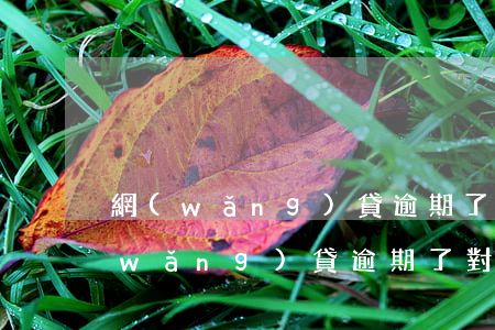 網(wǎng)貸逾期了對方說報案了(網(wǎng)貸逾期了對方說報案了)
