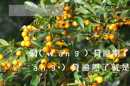 網(wǎng)貸逾期了就是黑戶嗎(網(wǎng)貸逾期了就是黑戶嗎)