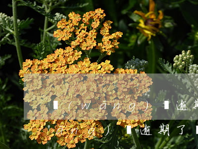 網(wǎng)貸逾期了幾年能消掉(網(wǎng)貸逾期了幾年能消掉)