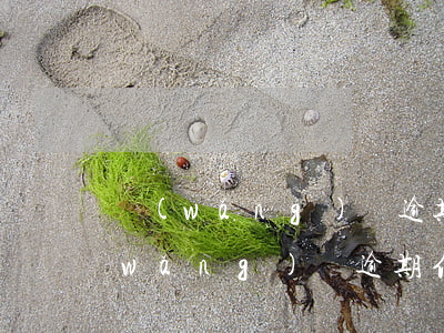 網(wǎng)貸逾期了影響信用卡嗎（網(wǎng)貸逾期信用卡受影響）