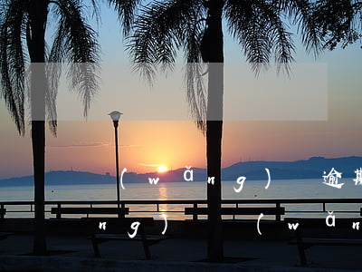 網(wǎng)貸逾期了征信可以養(yǎng)嗎(網(wǎng)貸征信半年可以養(yǎng)好嗎)