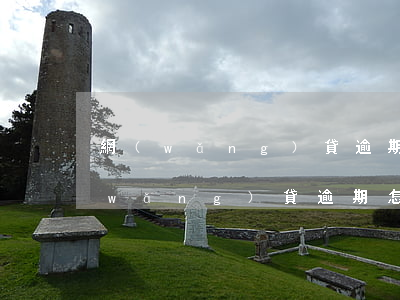 網(wǎng)貸逾期了征信怎么顯示(網(wǎng)貸逾期怎么查征信)