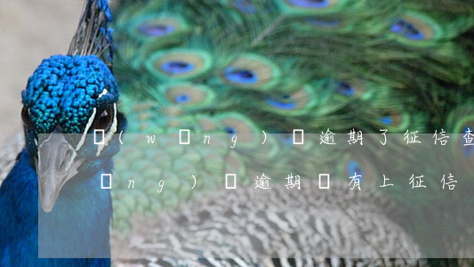 網(wǎng)貸逾期了征信查的到(網(wǎng)貸逾期沒有上征信 銀行查的到嗎)