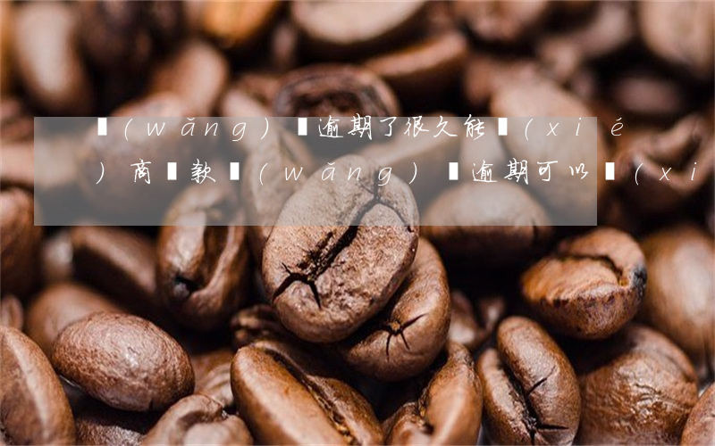 網(wǎng)貸逾期了很久能協(xié)商還款?（網(wǎng)貸逾期可以協(xié)商一個月還款嗎）