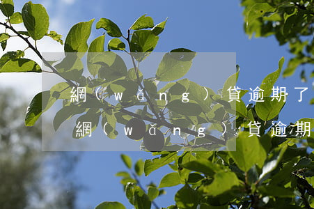 網(wǎng)貸逾期了怎么保住利益(解決網(wǎng)貸逾期最好的辦法)