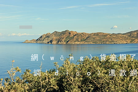 網(wǎng)貸逾期了怎么協(xié)調(diào)還款(網(wǎng)貸逾期前協(xié)商還是逾期后協(xié)商)