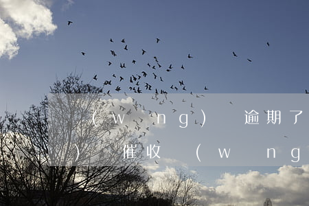 網(wǎng)貸逾期了怎么應(yīng)對催收(網(wǎng)貸逾期被催收怎么辦)