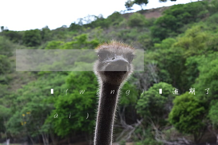 網(wǎng)貸逾期了怎么才算老賴(lài)