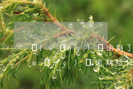 網(wǎng)貸逾期了怎么收到信息(網(wǎng)貸逾期短信是什么樣子的)