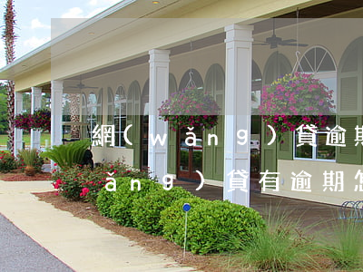 網(wǎng)貸逾期了怎么查征信(網(wǎng)貸有逾期怎么查詢)