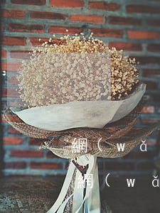 網(wǎng)貸逾期了怎么繼續(xù)網(wǎng)貸(網(wǎng)貸逾期了怎么還款)