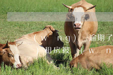 網(wǎng)貸逾期了怎么能租手機(jī)(租房被網(wǎng)貸怎么辦)