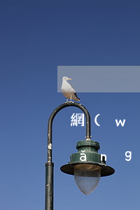 網(wǎng)貸逾期了怎么辦(全部網(wǎng)貸逾期了怎么辦)