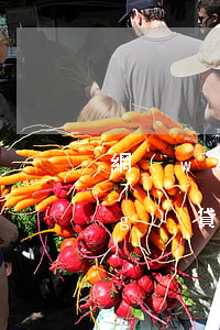 網(wǎng)貸逾期了怎么辦(網(wǎng)貸逾期了怎么辦又沒(méi)錢還發(fā)來(lái)律師函)