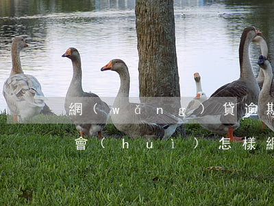 網(wǎng)貸逾期了換號(hào)碼會(huì)怎樣(網(wǎng)貸逾期換號(hào)碼還能爆通訊錄嗎)