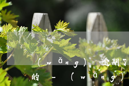 網(wǎng)貸逾期了收到律師短信是真的嗎-網(wǎng)貸逾期了收到律師短信是真的嗎嗎