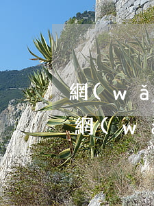 網(wǎng)貸逾期了收到短信通告函-網(wǎng)貸逾期短信通知函件已發(fā)送