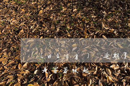 網(wǎng)貸逾期了是協(xié)商還是等著被起訴-網(wǎng)貸逾期了是協(xié)商還是等著被起訴了