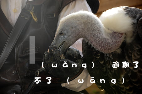 網(wǎng)貸逾期了暫時(shí)還不了(網(wǎng)貸逾期以后還不上慢慢還可以嗎)