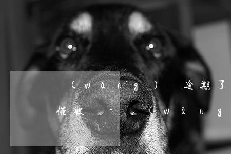 網(wǎng)貸逾期了暫時還不上,會上門催收嗎?-網(wǎng)貸逾期了暫時還不上,會上門催收嗎
