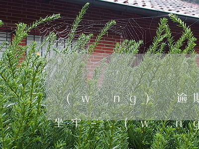 網(wǎng)貸逾期了暫時還不上會不會坐牢-網(wǎng)貸逾期了暫時還不上會不會坐牢了
