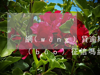 網(wǎng)貸逾期了會(huì)上報(bào)征信嗎(網(wǎng)貸逾期2天上報(bào)征信了會(huì)有什么影響)
