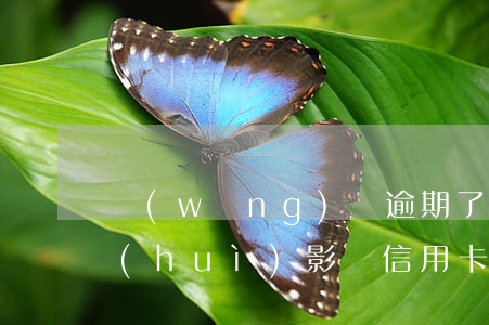 網(wǎng)貸逾期了會(huì)不會(huì)影響信用卡額度-網(wǎng)貸逾期了會(huì)不會(huì)影響信用卡額度呢